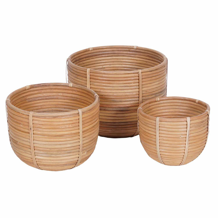 Cesta de mimbre para flores Cinta, juego de 3 unidades
