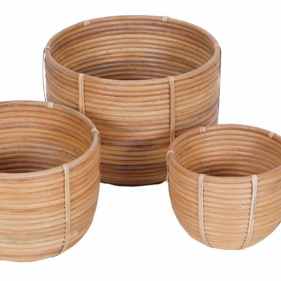 Cesta de mimbre para flores Cinta, juego de 3 unidades