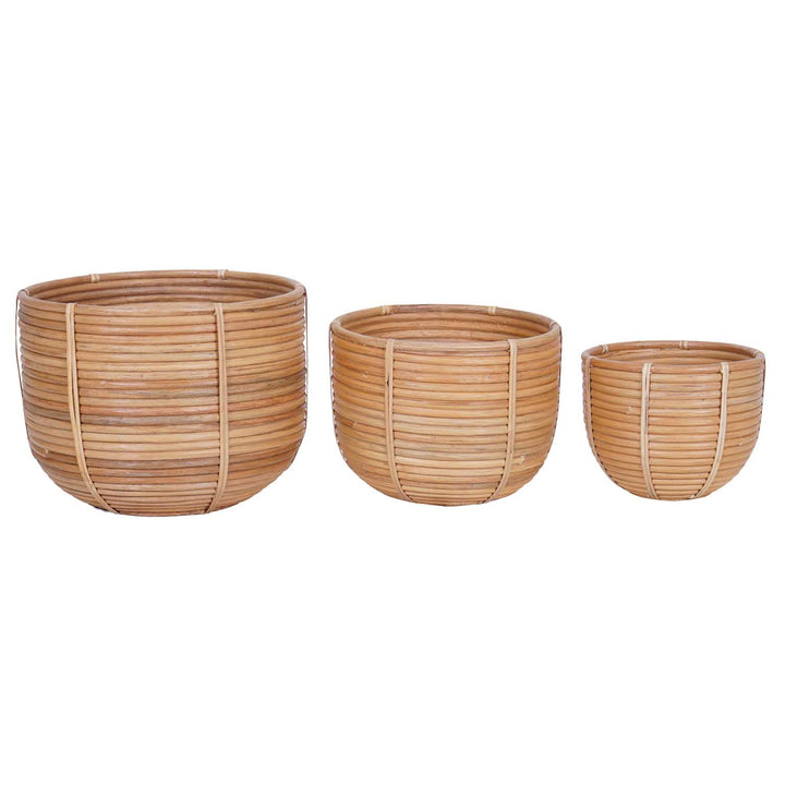 Cesta de mimbre para flores Cinta, juego de 3 unidades