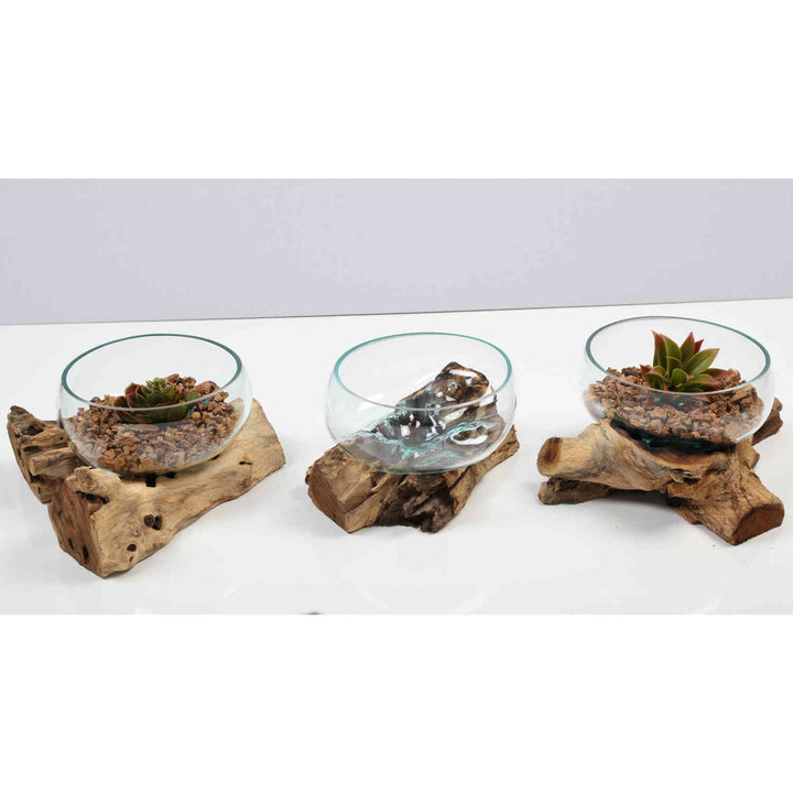 Cuenco de cristal de 20 cm sobre madera de raíz