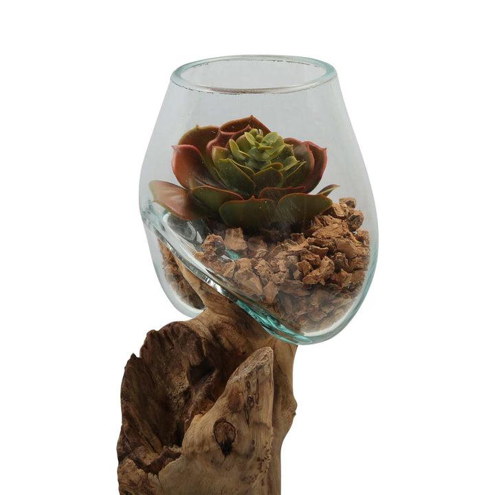 Jarrón doble de cristal de 12 cm sobre madera de raíz