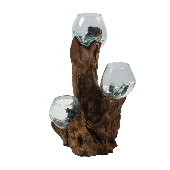 Tres jarrones de cristal de 12 cm sobre madera de raíz