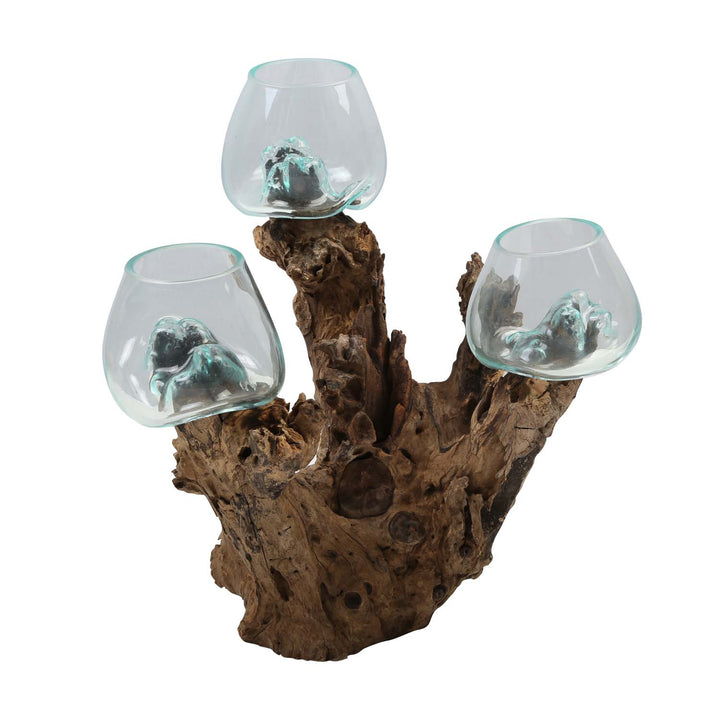 Tres jarrones de cristal de 12 cm sobre madera de raíz