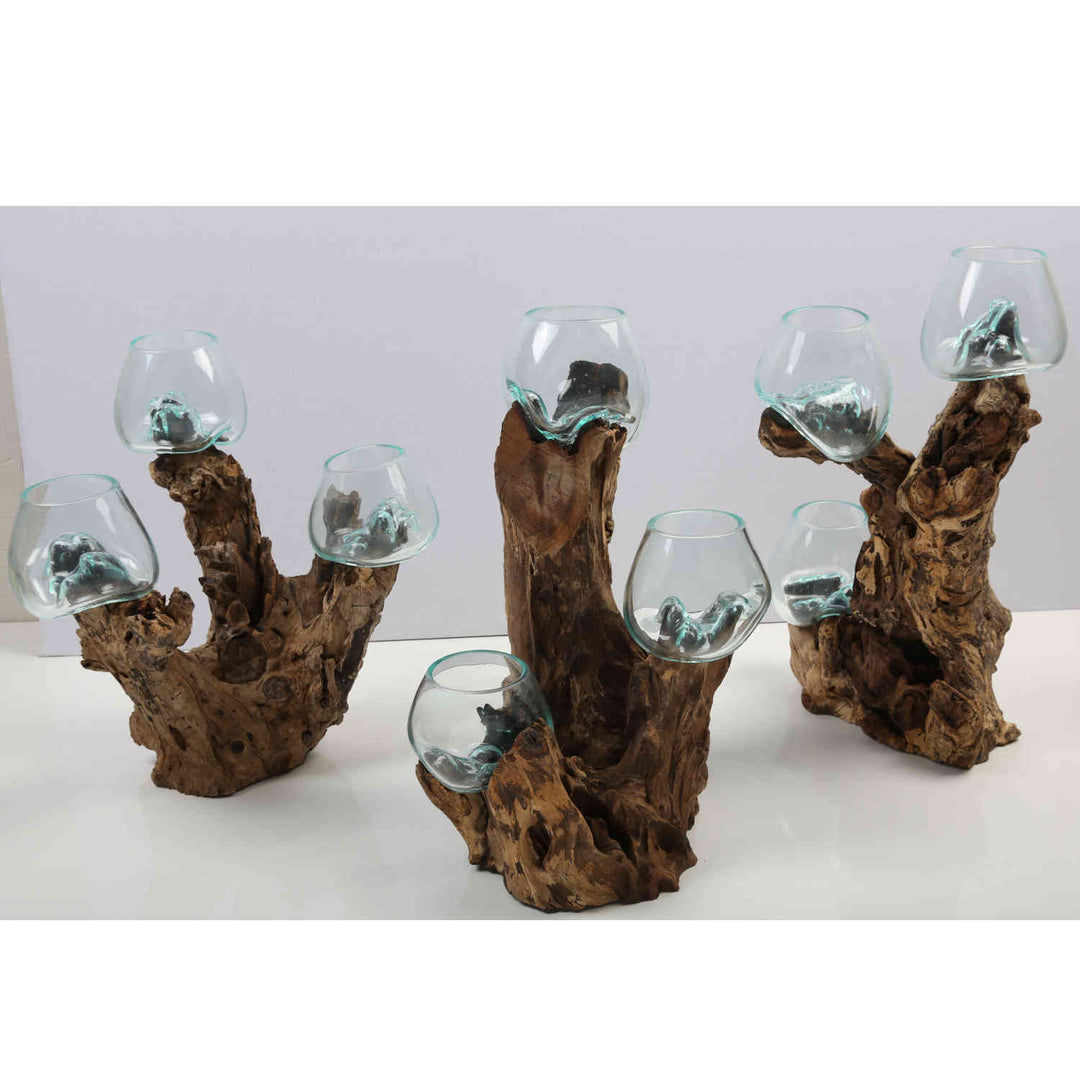 Tres jarrones de cristal de 12 cm sobre madera de raíz
