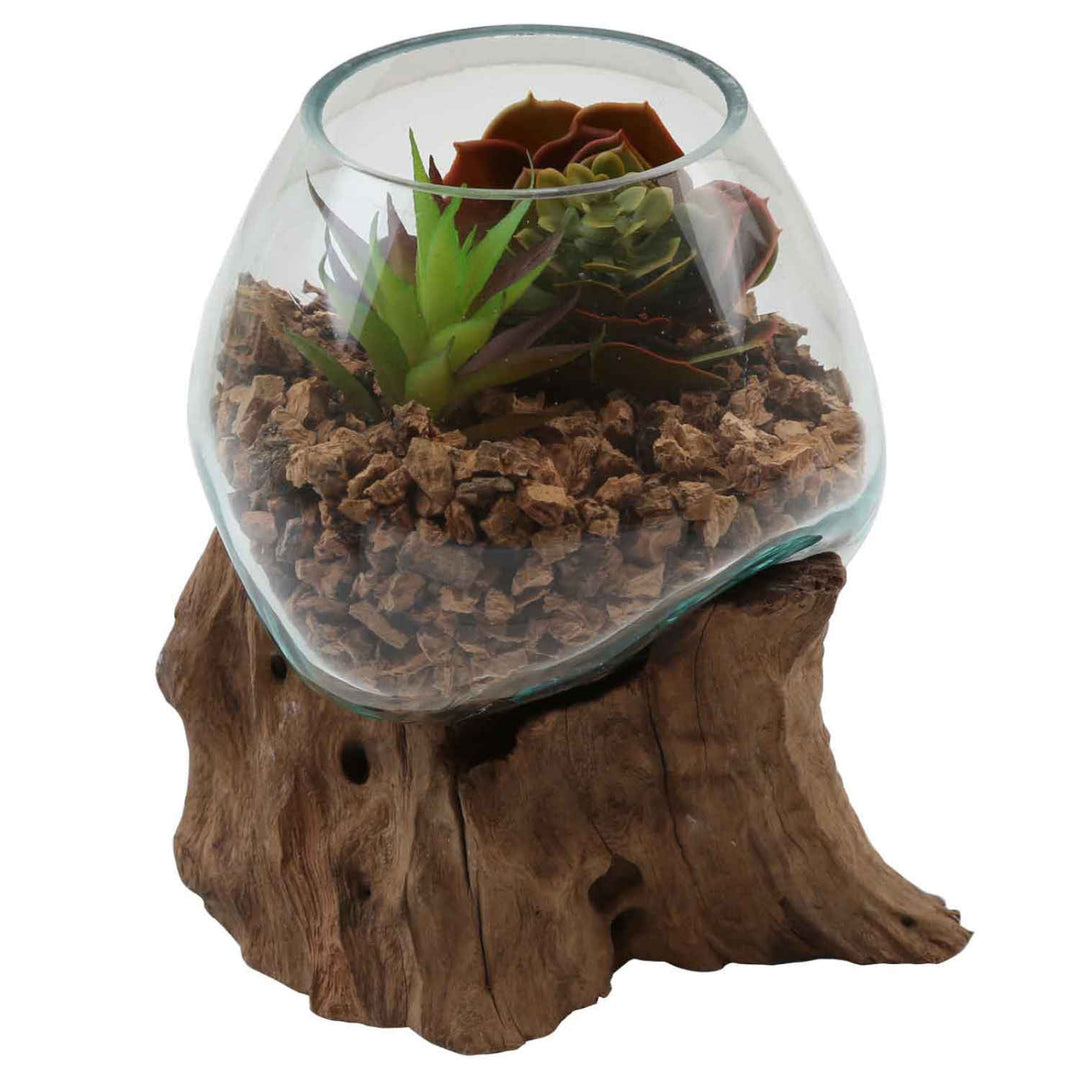 Jarrón de cristal sobre madera de raíz A15