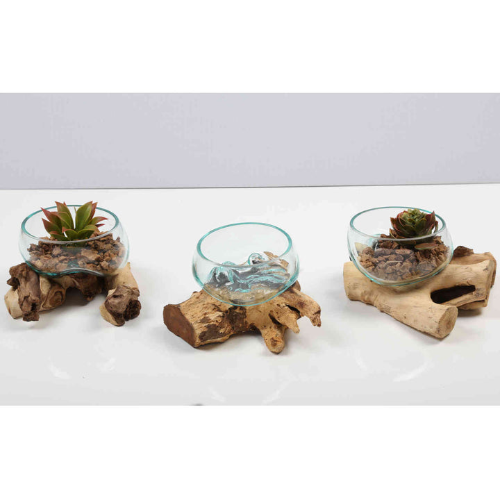 Copa de cristal sobre madera de raíz