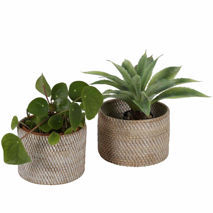 Cesta para cubiertos Lilia White washed