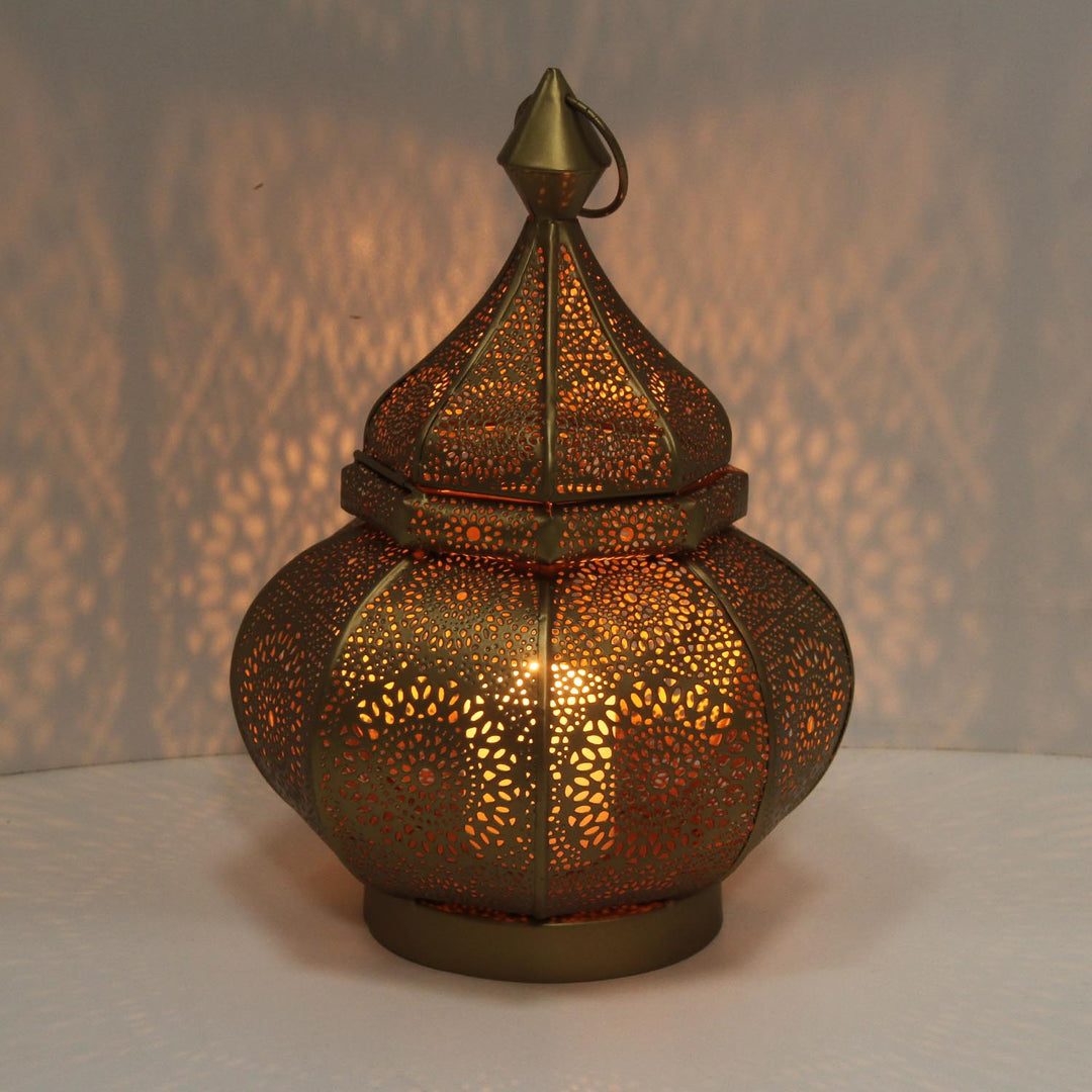 Farolillo oriental Anida