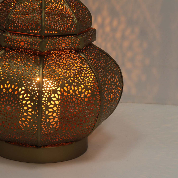 Farolillo oriental Anida