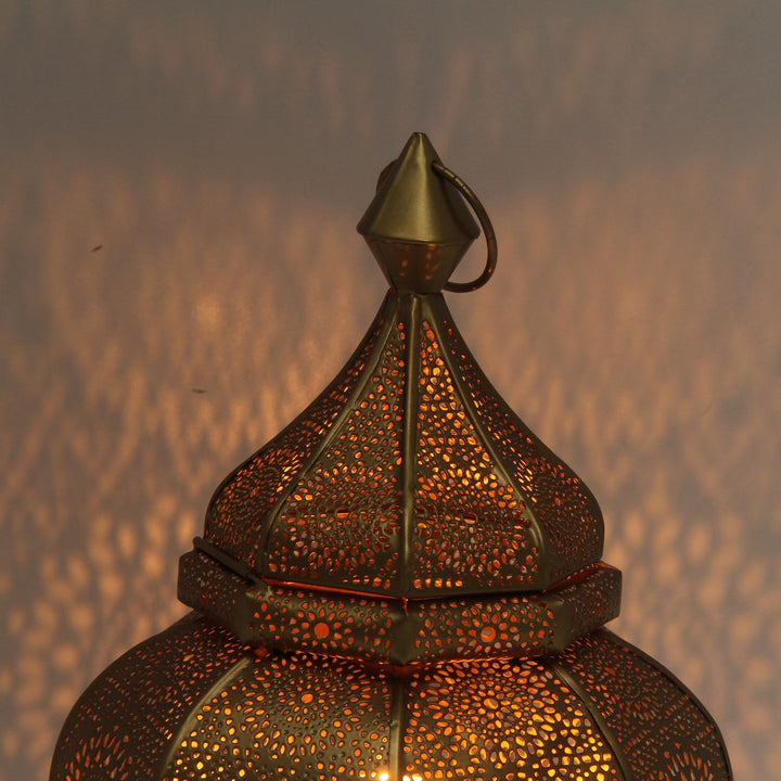 Farolillo oriental Anida