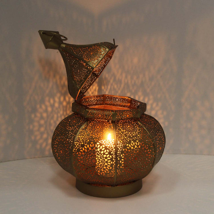 Farolillo oriental Anida