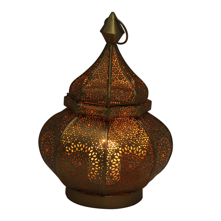 Farolillo oriental Anida