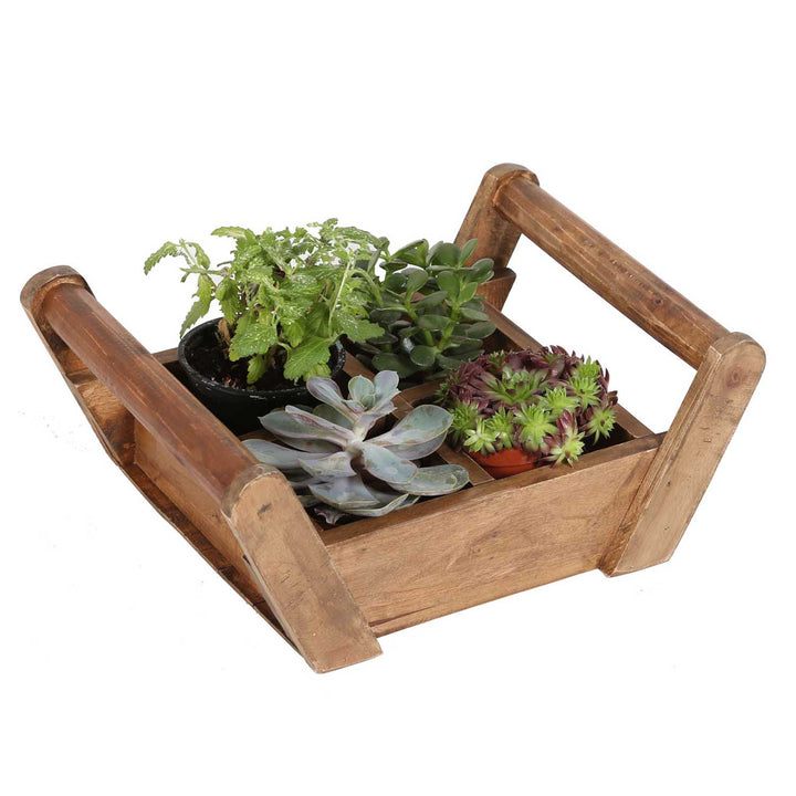 Caja para plantas Adria