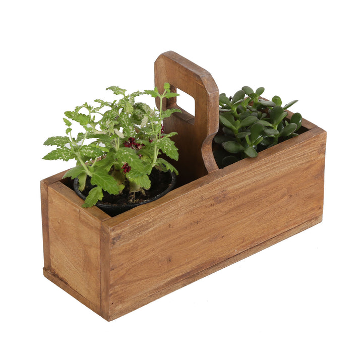 Caja para plantas Viola