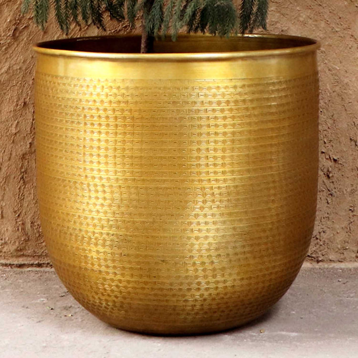 Maceta oriental Barcelona
