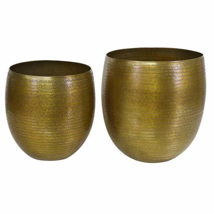 Maceta oriental Leon