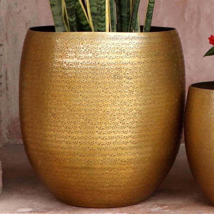 Maceta oriental Leon