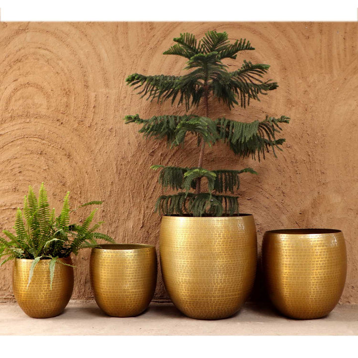 Maceta oriental Vega