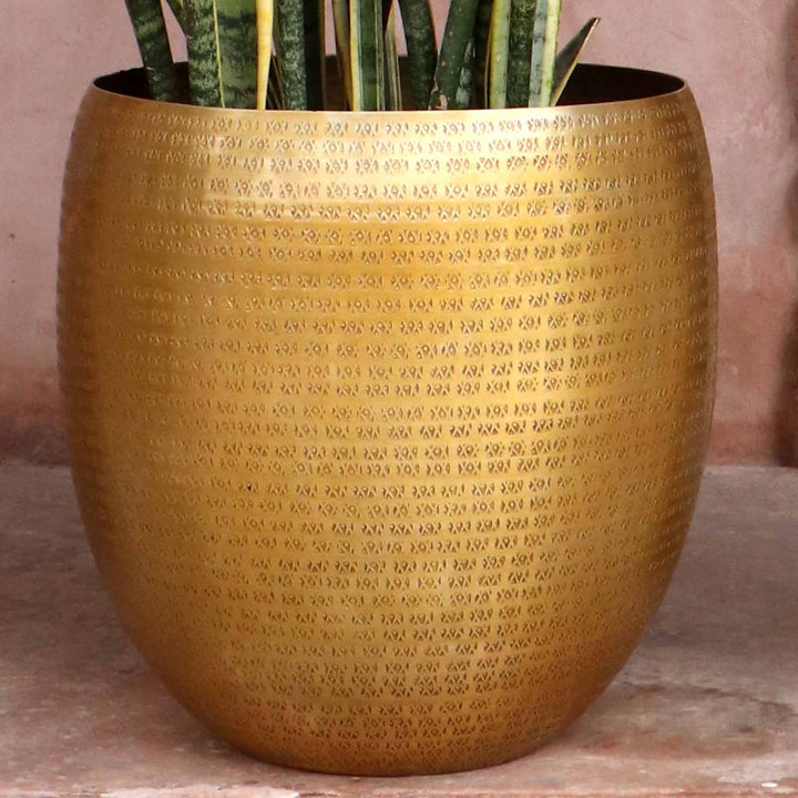 Maceta oriental Vega