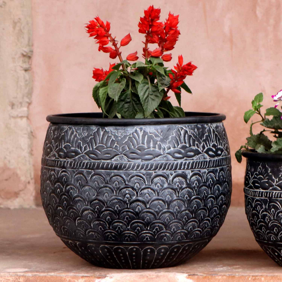Maceta oriental Murcia